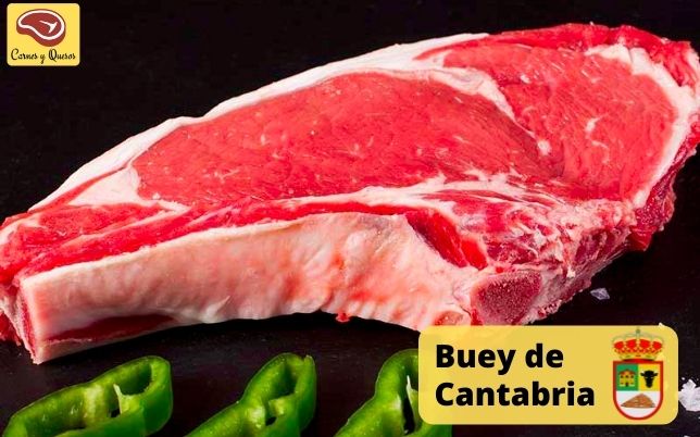 Guía mejores cortes de carne de España Buey Cantabria